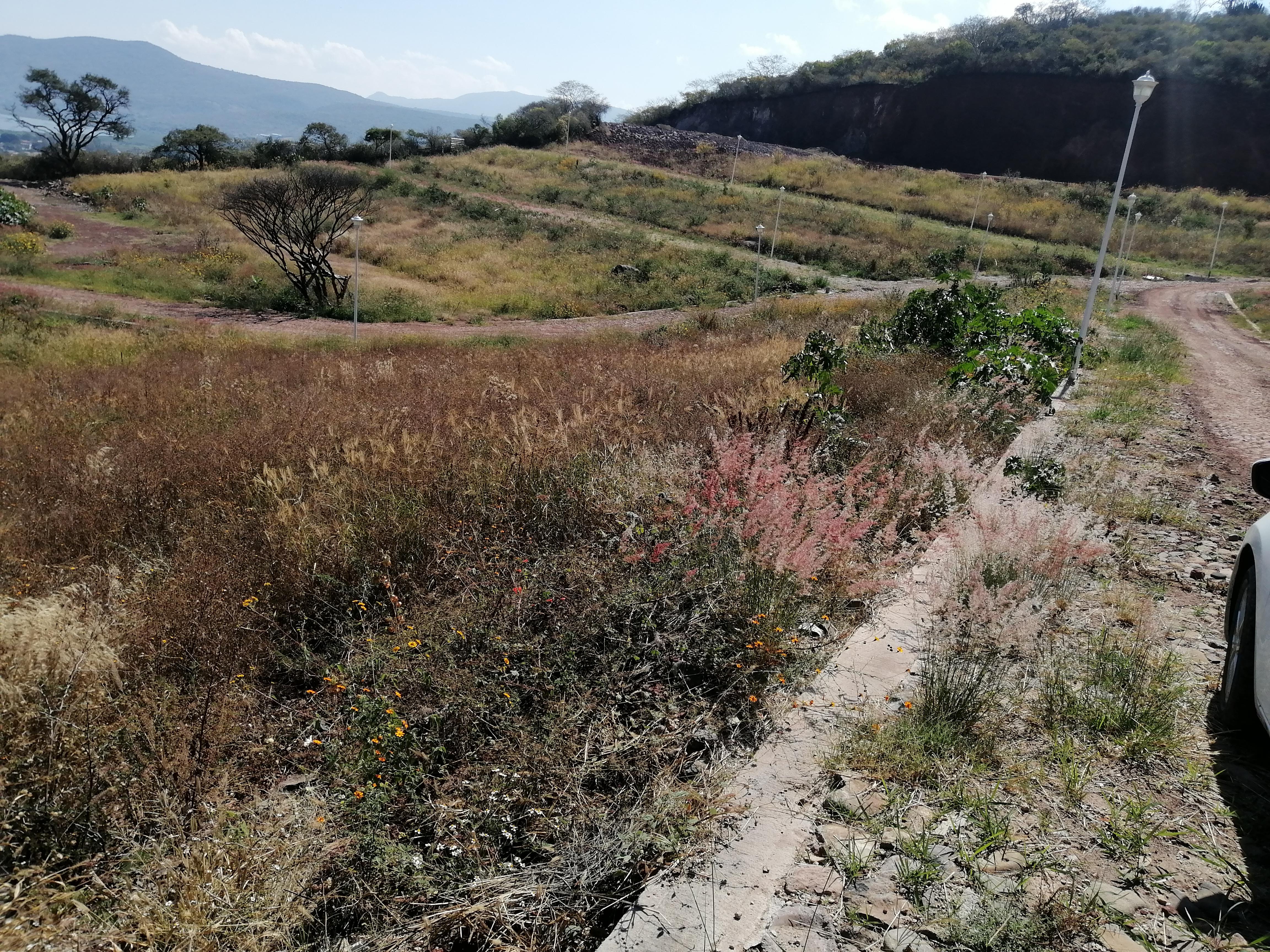 Remato Terreno en Real Santa Fe Tuxcueca, Jalisco