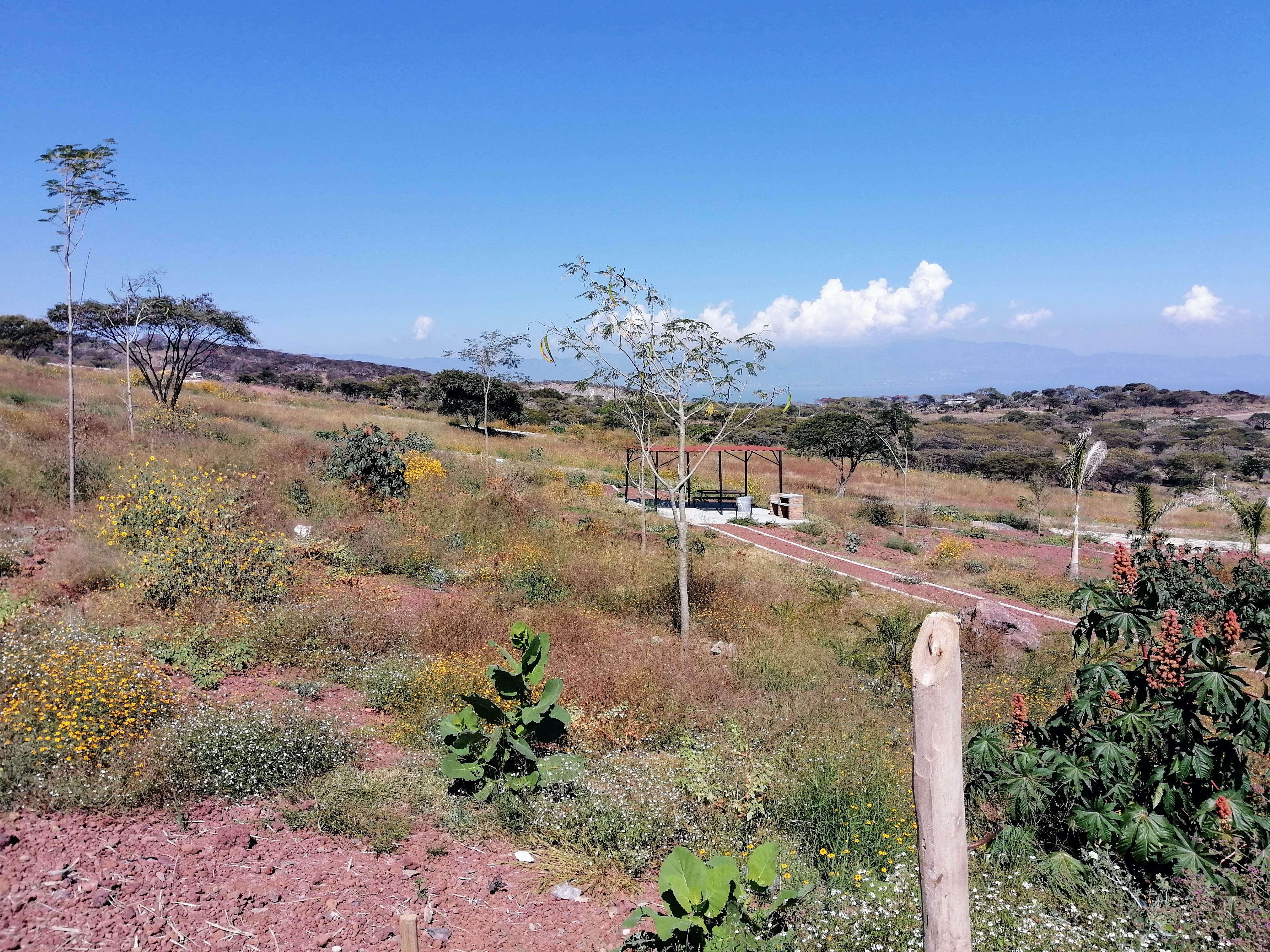 Remato Terreno en Real Santa Fe Tuxcueca, Jalisco