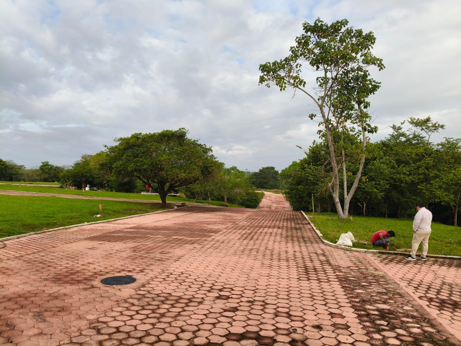 Terreno Residencial en Palenque Chiapas!