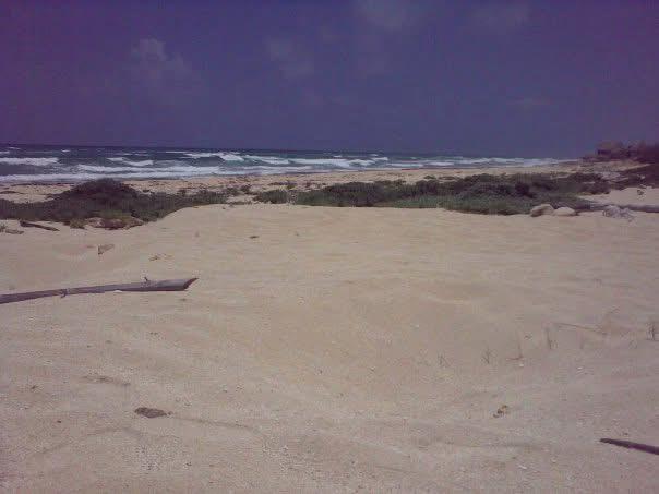 Terreno beach front en Cozumel