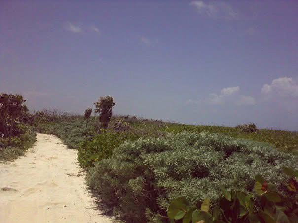 Terreno beach front en Cozumel