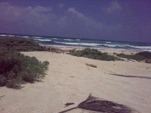 Terreno beach front en Cozumel