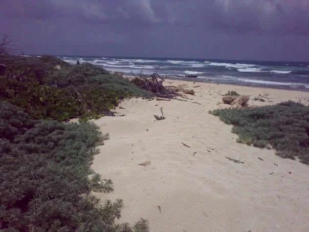 Terreno beach front en Cozumel