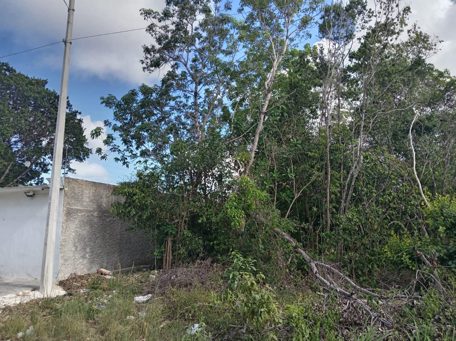 Traspaso Terreno en Alamos II