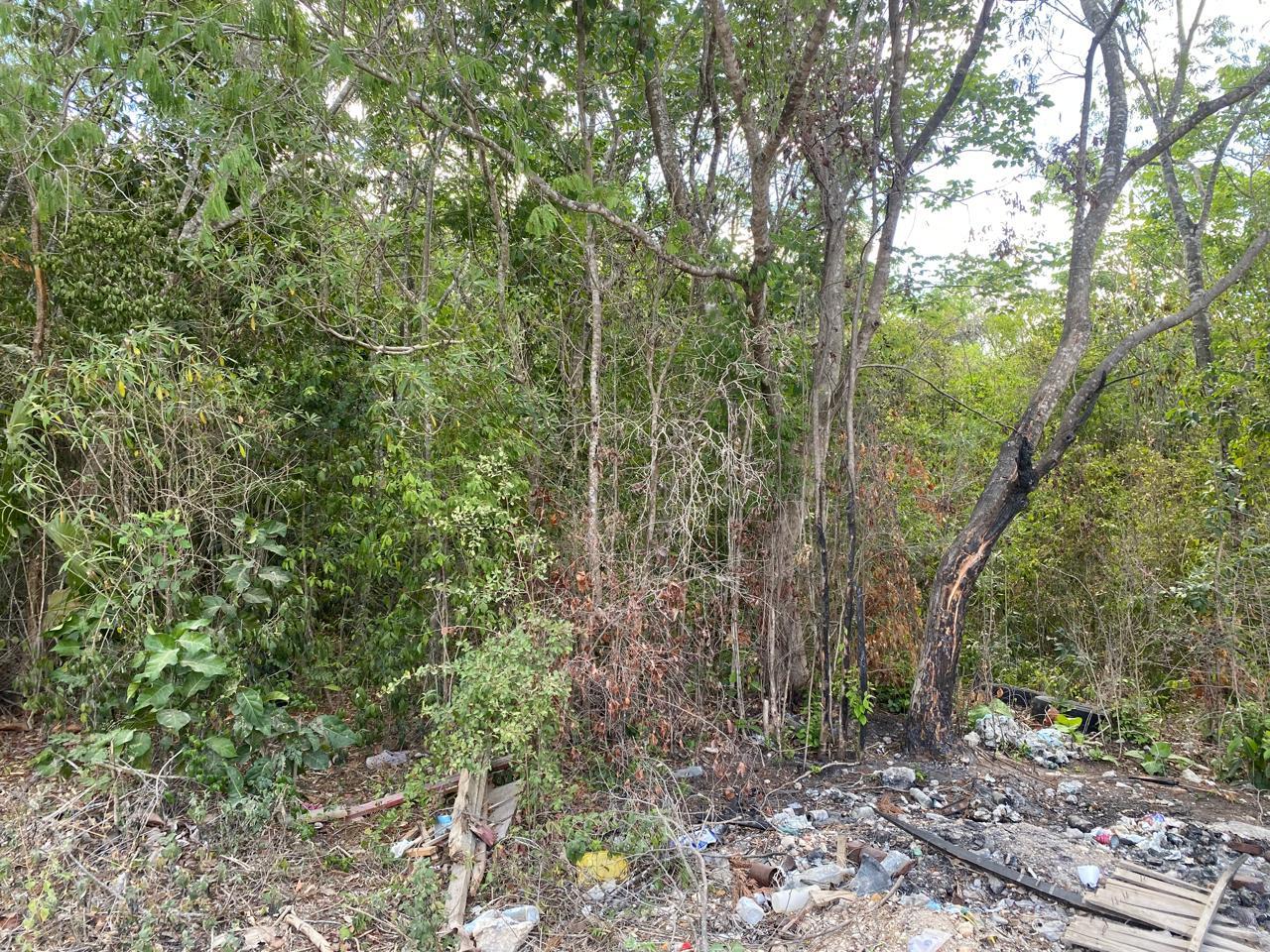 Terreno de 300 mts2 en el Fraccionamiento El Pedregal, Cancún