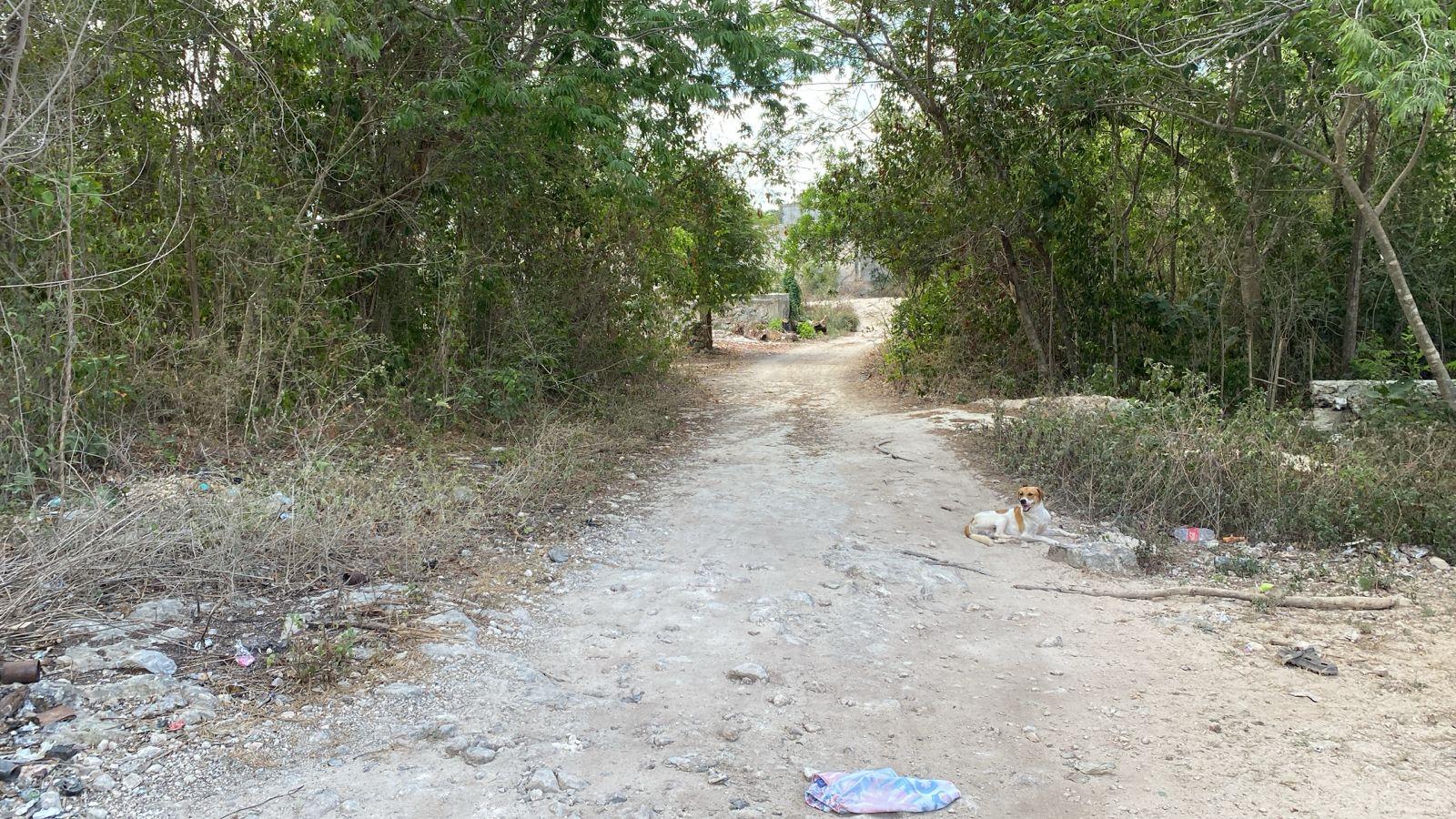 Terreno de 300 mts2 en el Fraccionamiento El Pedregal, Cancún