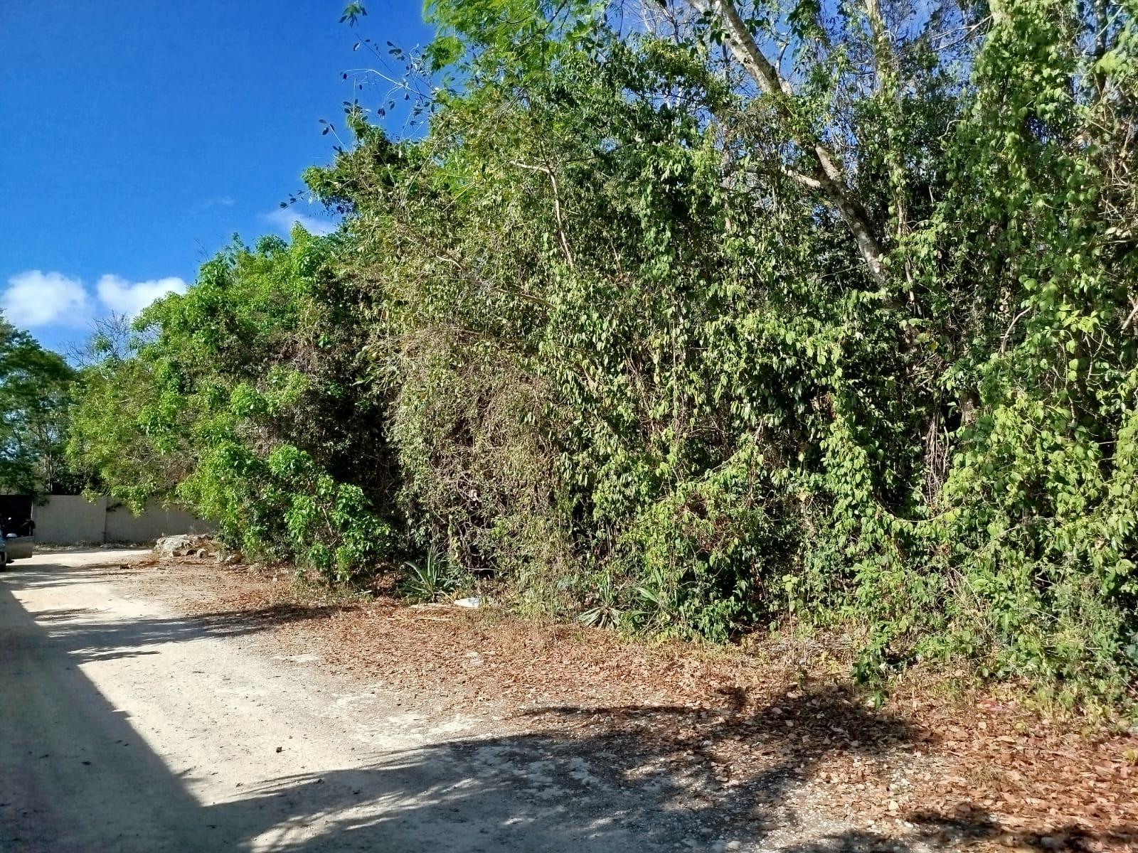 Terreno en esquina de 20 x 50 en Alamos II, Cancún, Quintana Roo