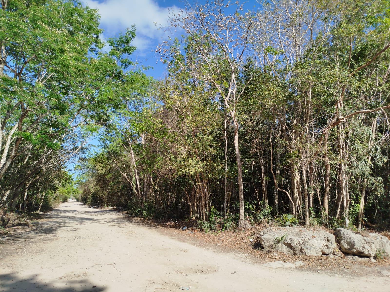 Terreno en esquina de 20 x 50 en Alamos II, Cancún, Quintana Roo