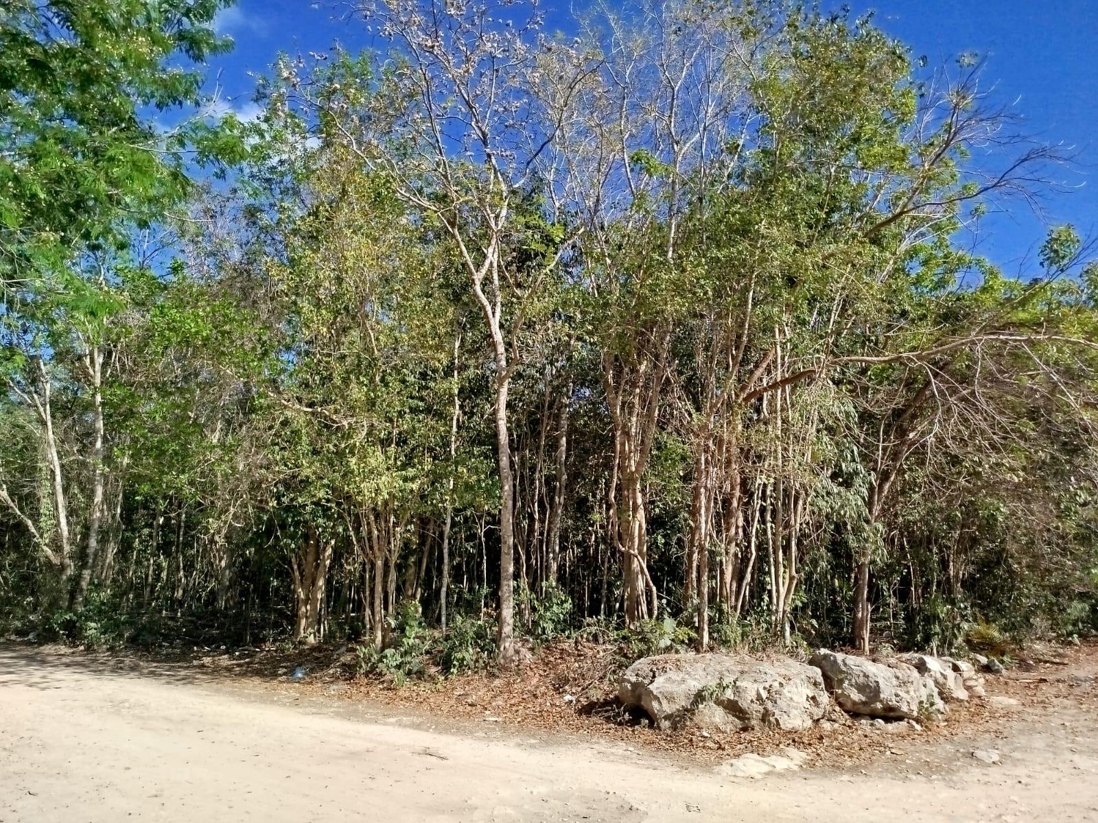 Terreno en esquina de 20 x 50 en Alamos II, Cancún, Quintana Roo
