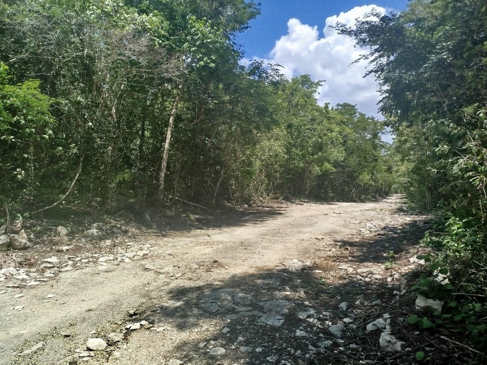 Terreno de 20 x 50 Tulum-Coba