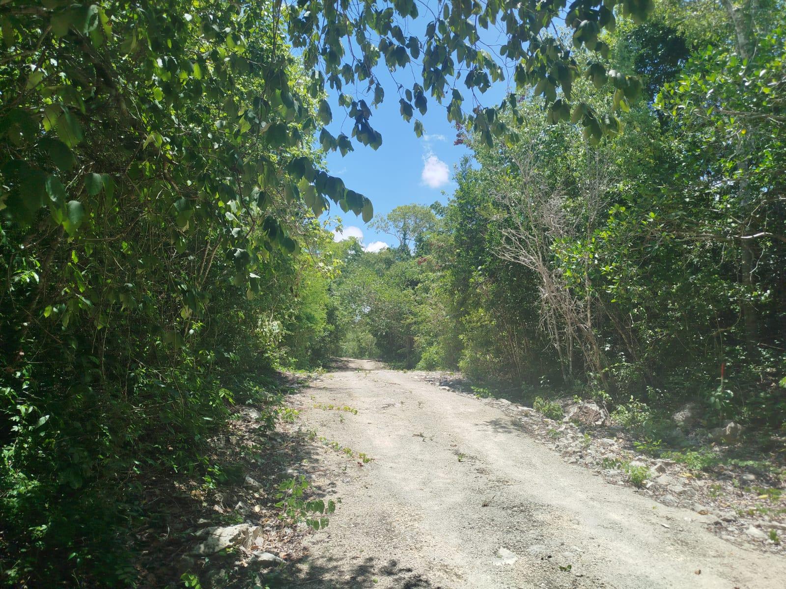 Terreno de 20 x 50 Tulum-Coba