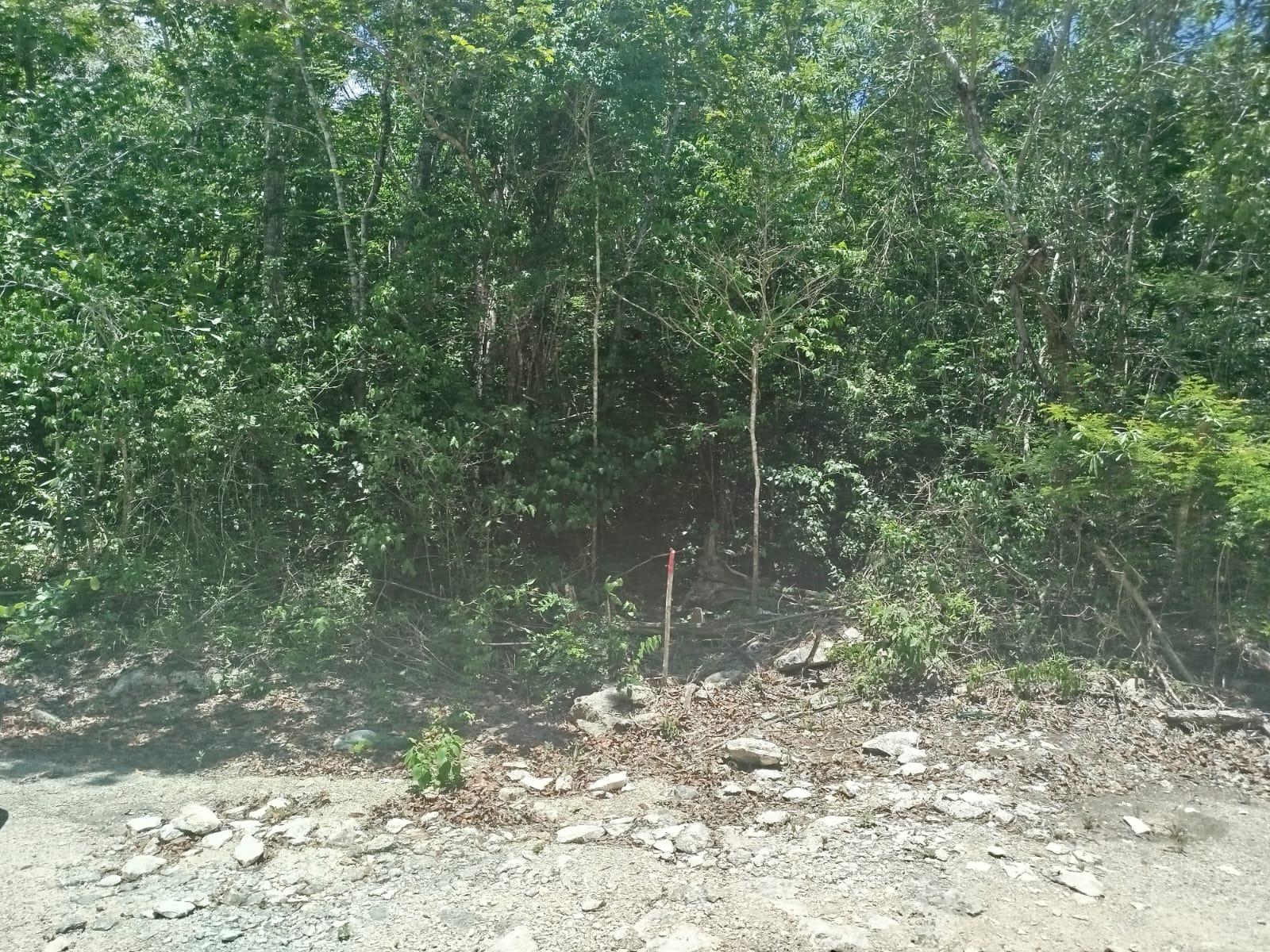 Terreno de 20 x 50 Tulum-Coba