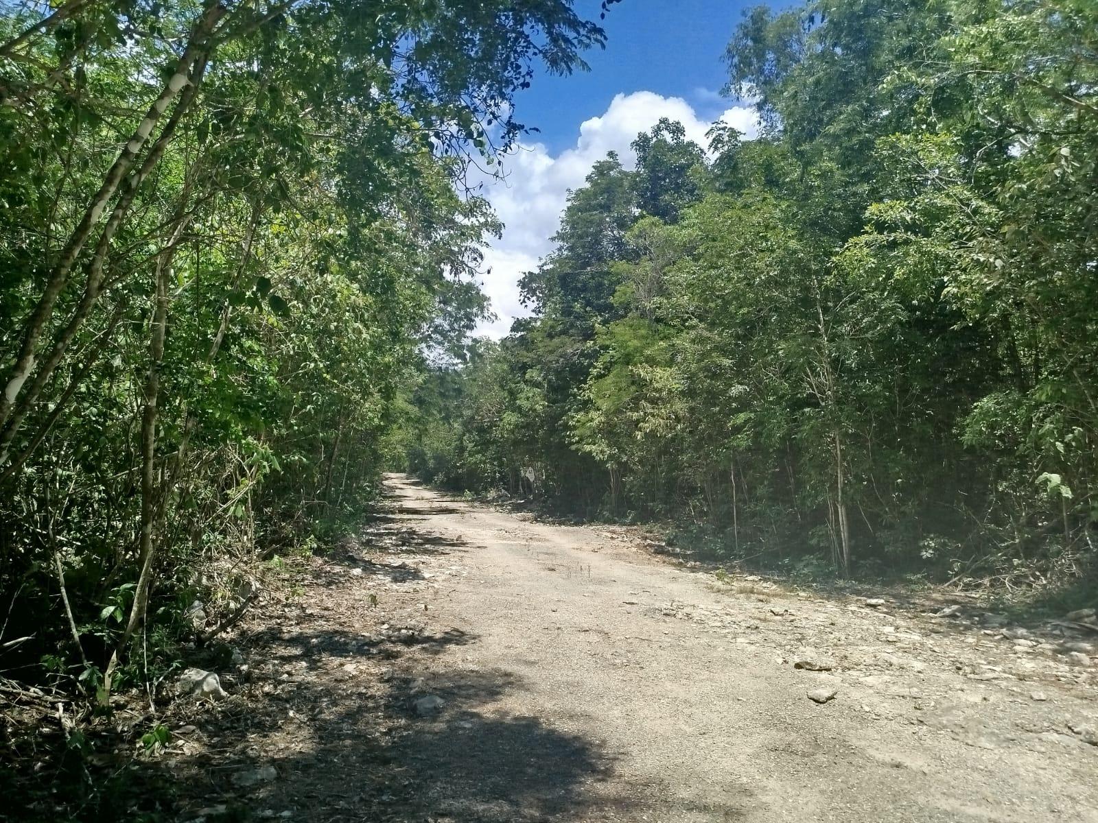 Terreno de 20 x 50 Tulum-Coba