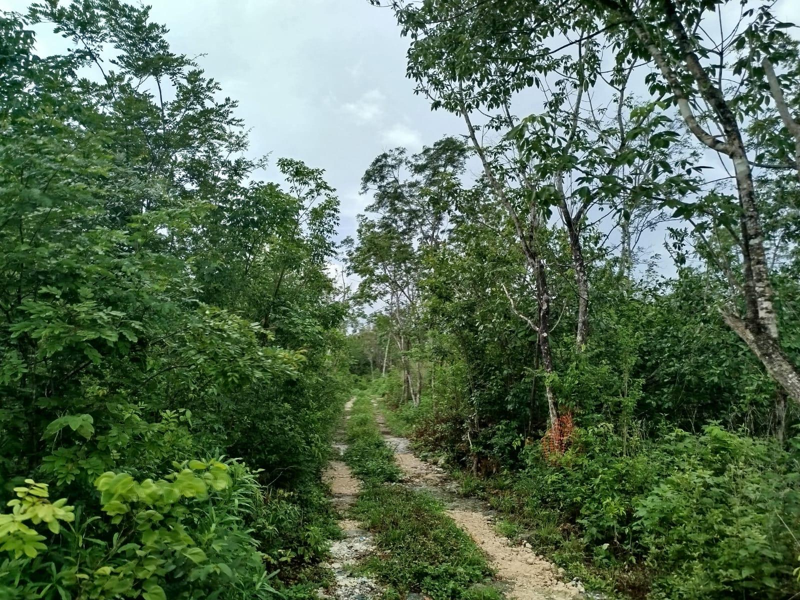 Venta de 1 hectárea en Cancún $199,000.00