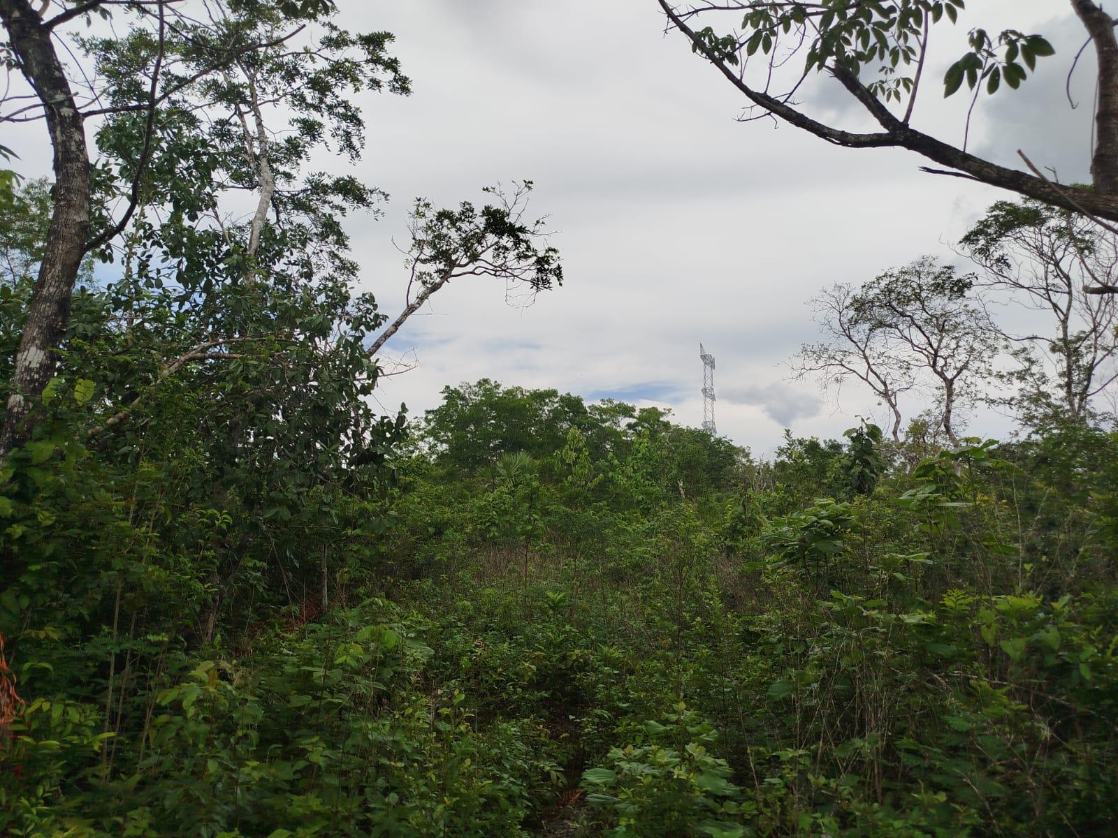 Venta de 1 hectárea en Cancún $199,000.00