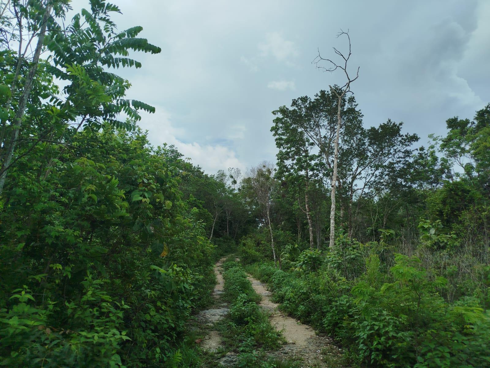 Venta de 1 hectárea en Cancún $199,000.00