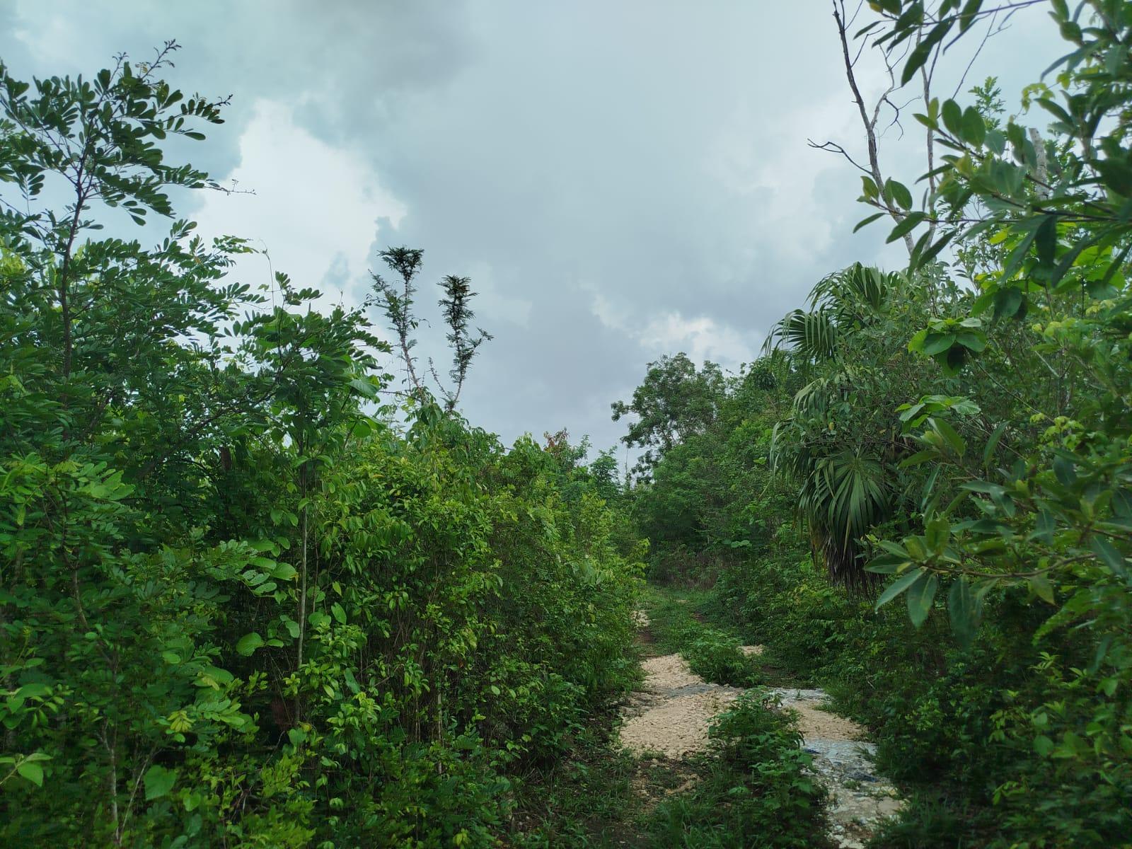 Venta de 1 hectárea en Cancún $199,000.00