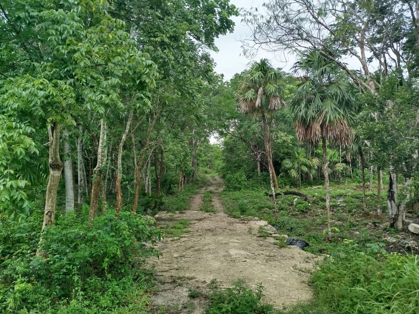 Venta de 1 hectárea en Cancún $199,000.00