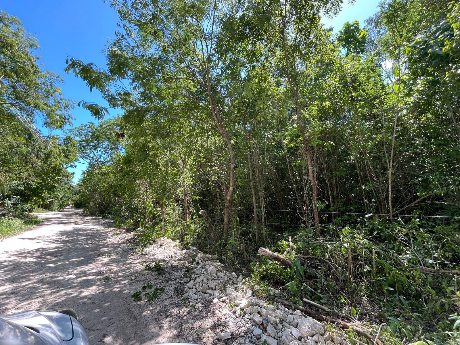 Terreno  50 x 50 en Puerto Morelos escriturado