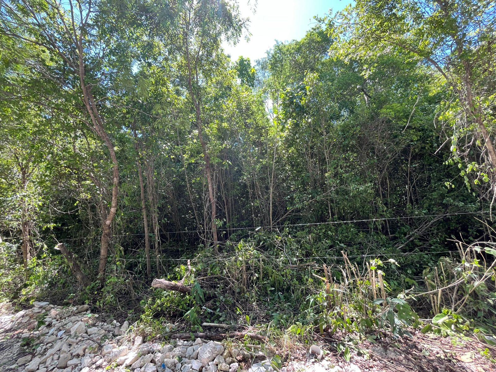 Terreno  50 x 50 en Puerto Morelos escriturado