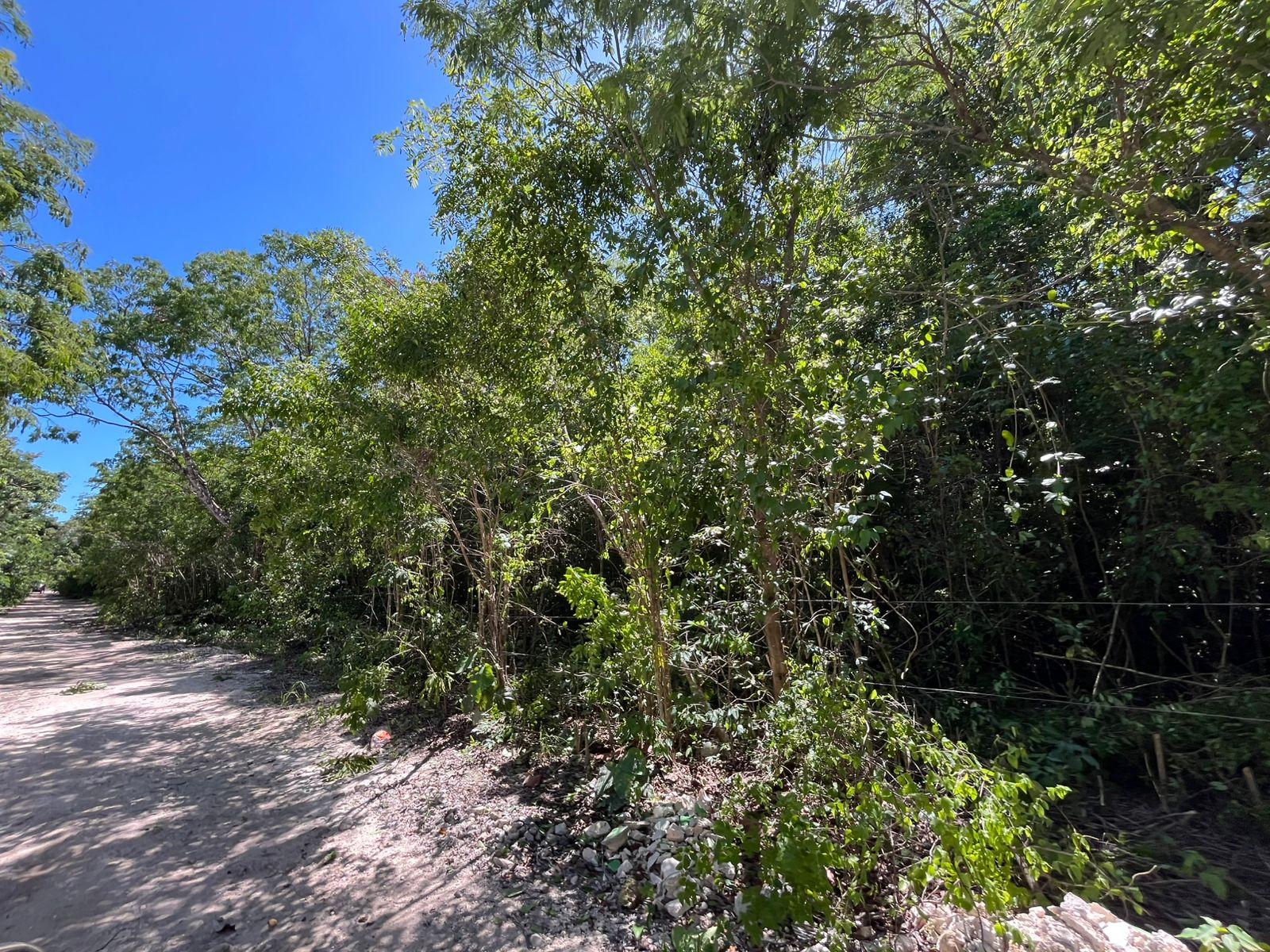 Terreno  50 x 50 en Puerto Morelos escriturado