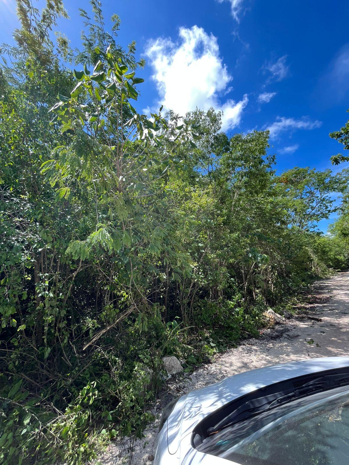 Terreno  50 x 50 en Puerto Morelos escriturado