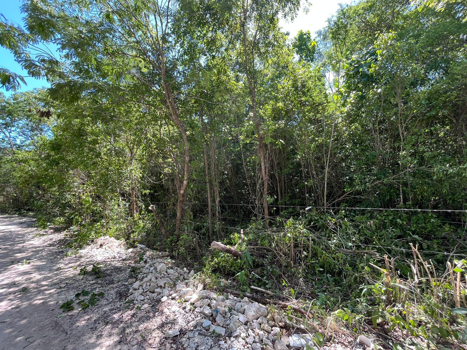 Terreno  50 x 50 en Puerto Morelos escriturado