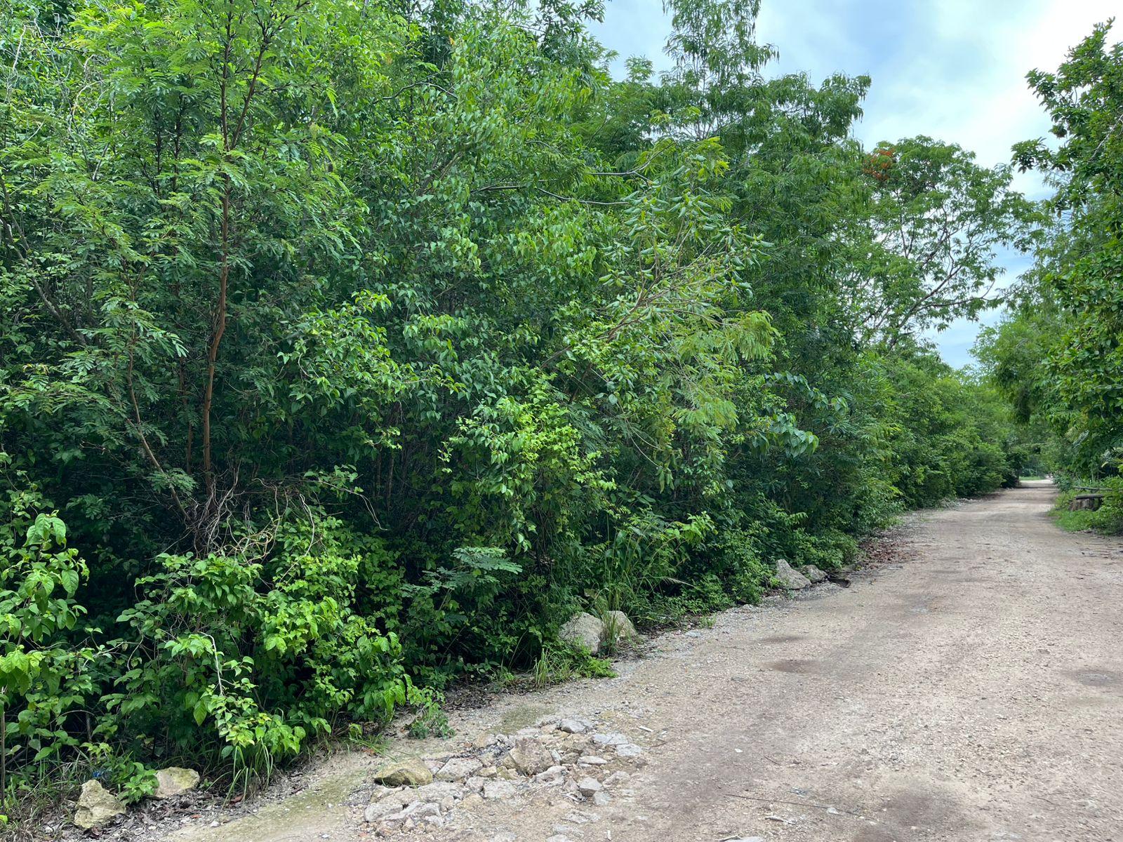 Terreno  50 x 50 en Puerto Morelos escriturado