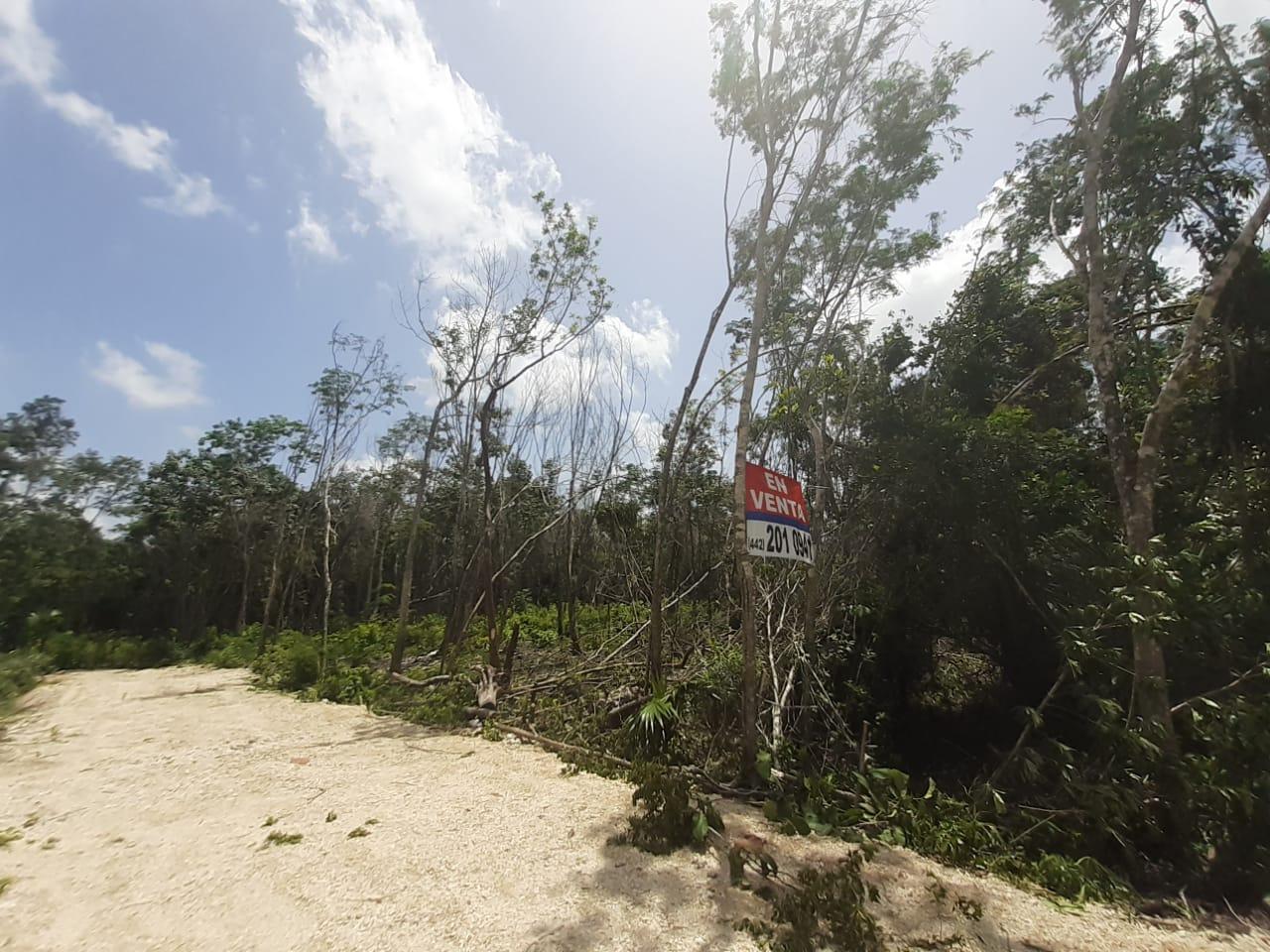 Terreno de 10 x 36 en El Roble
