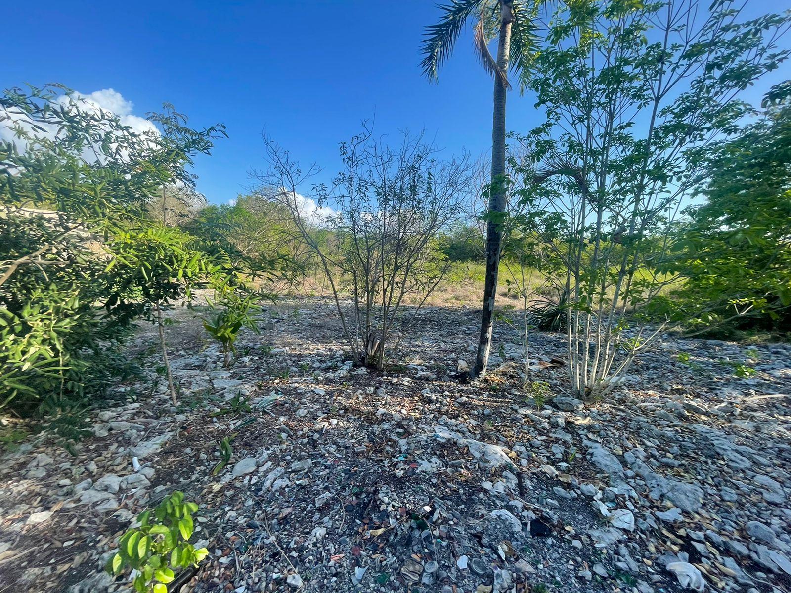 Terreno comercial de 15 mil mts2 con frente a carretera