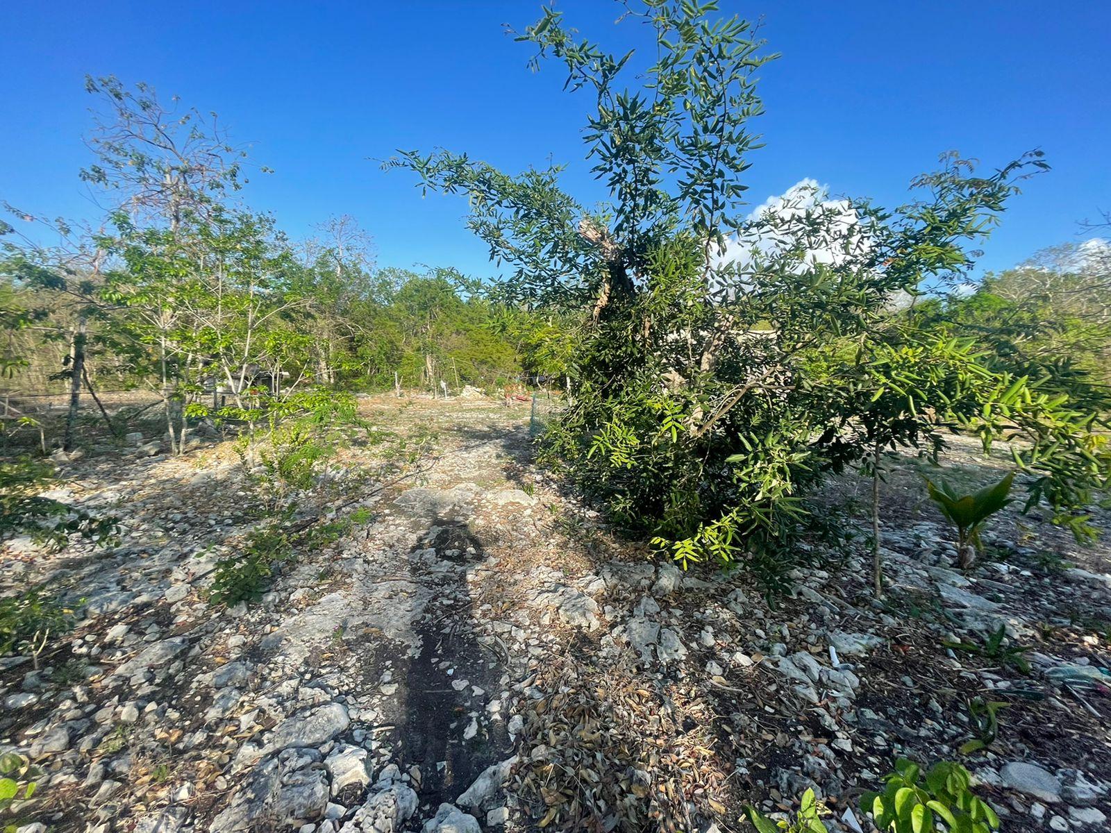 Terreno comercial de 15 mil mts2 con frente a carretera