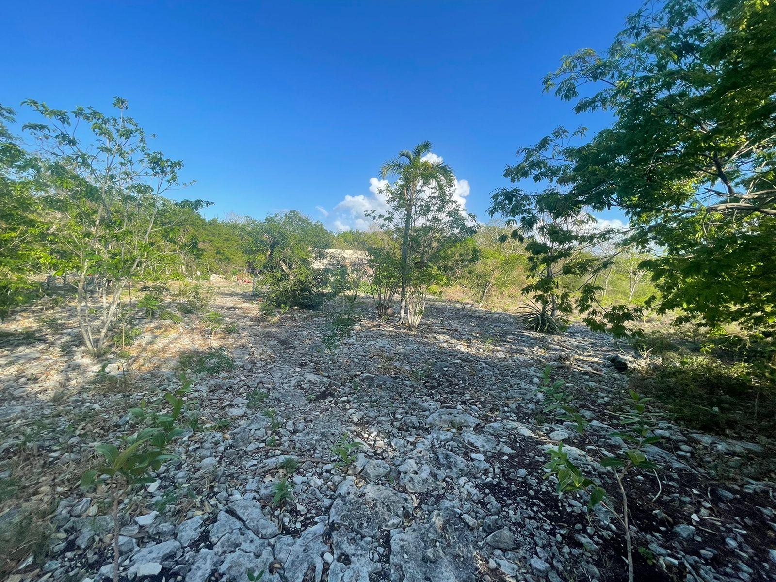 Terreno comercial de 15 mil mts2 con frente a carretera