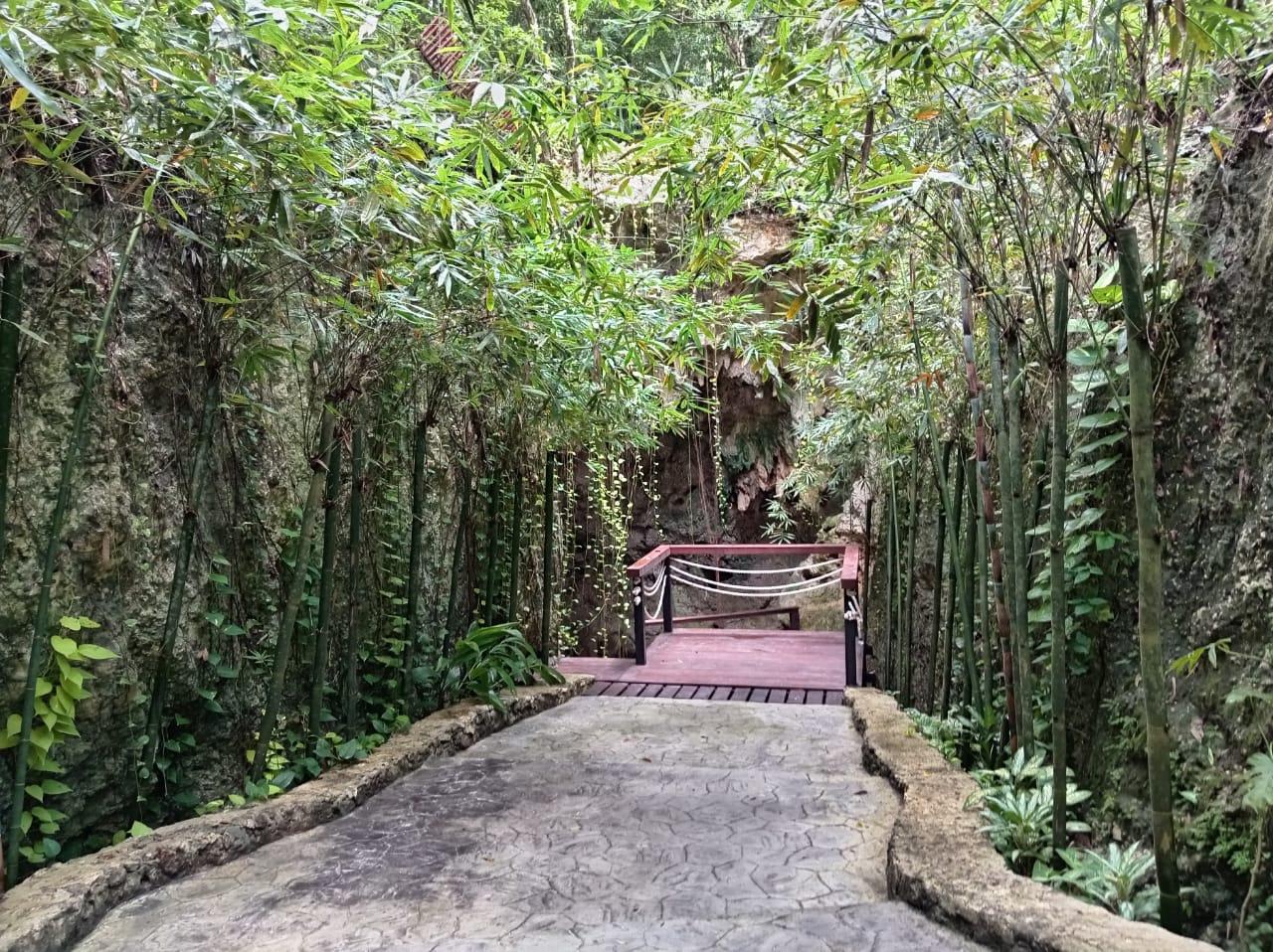 Terreno en la Ruta de los Cenotes