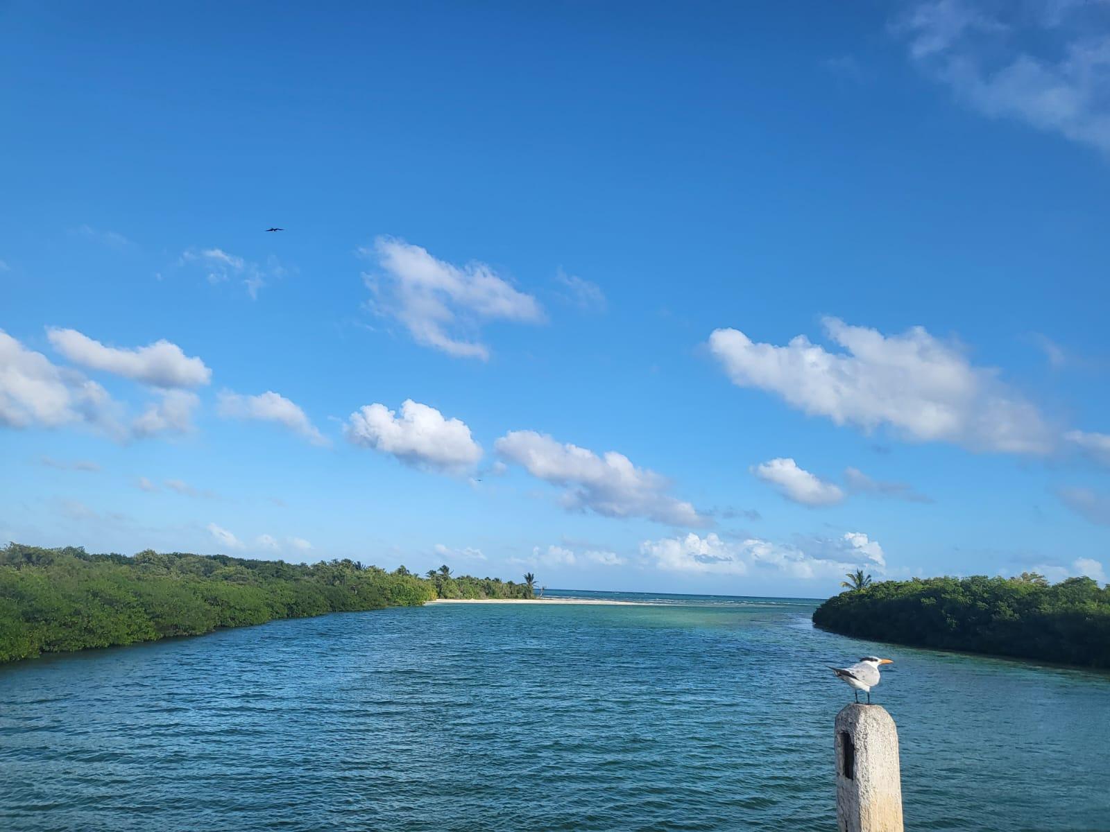 Terreno Beach Front en la Biosfera de Sian Kaan