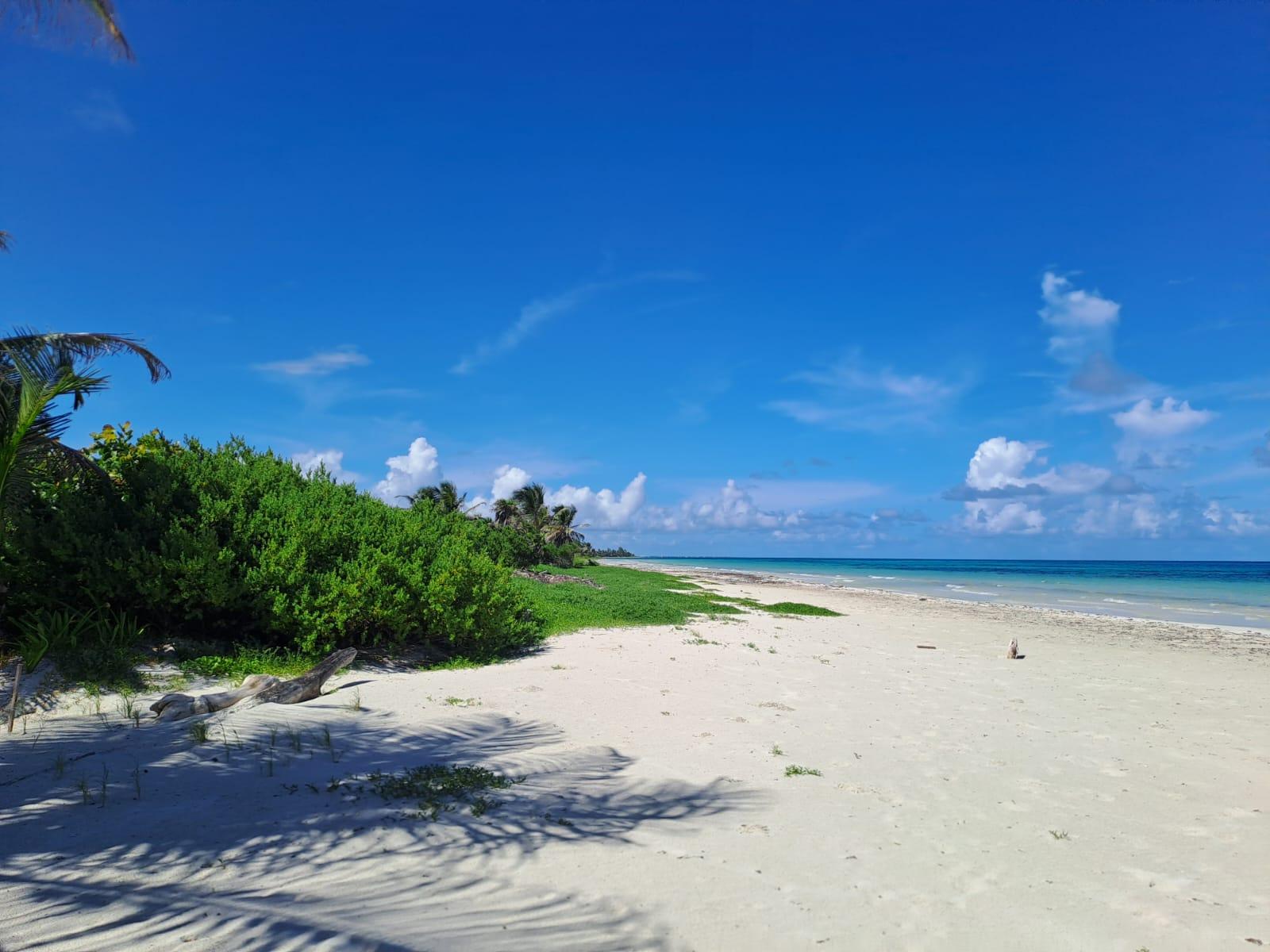 Terreno Beach Front en la Biosfera de Sian Kaan