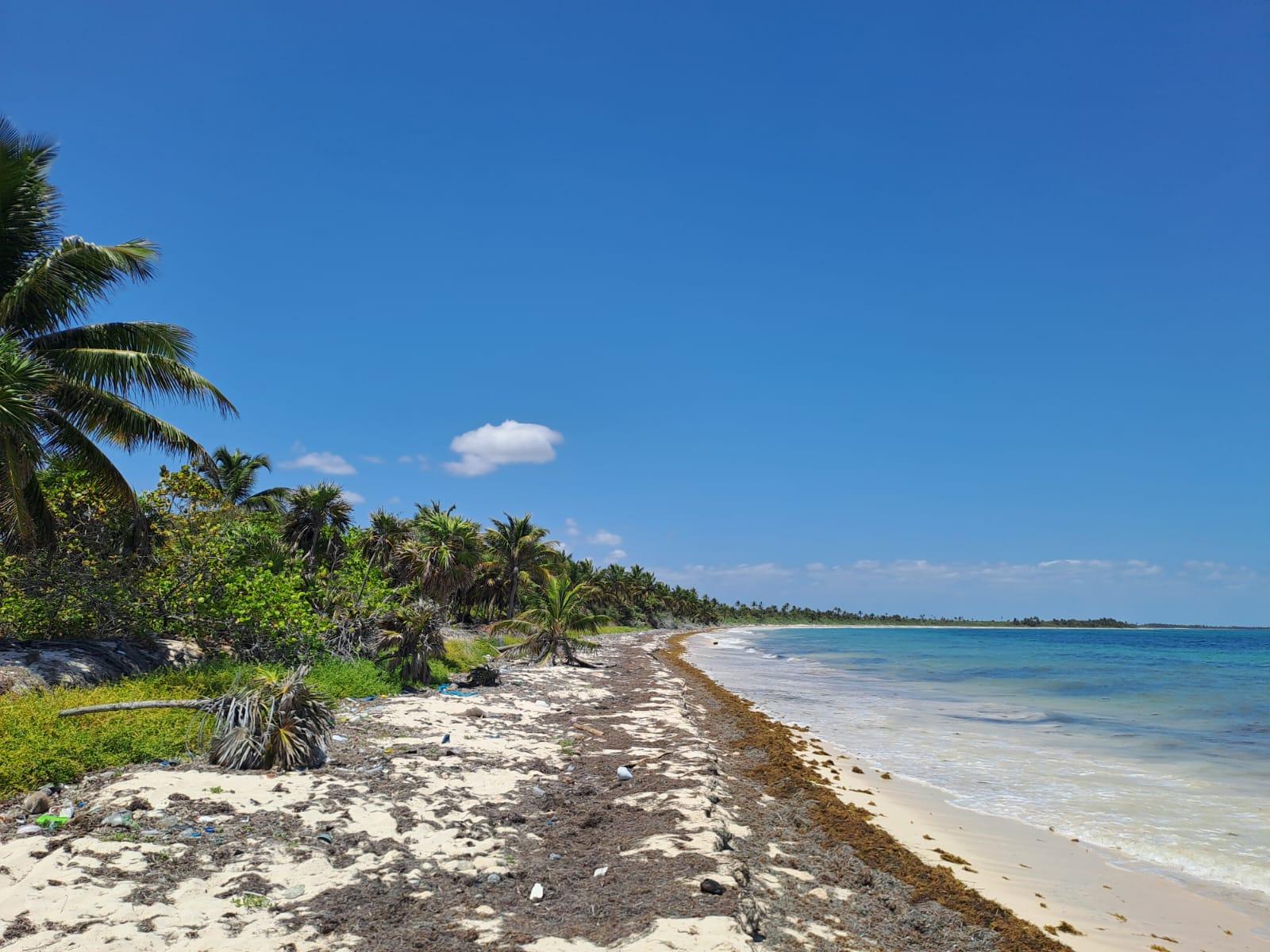 Terreno Beach Front en la Biosfera de Sian Kaan