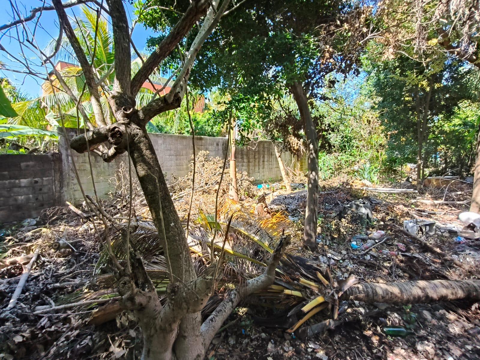 Terreno y cuarteria en Cozumel!