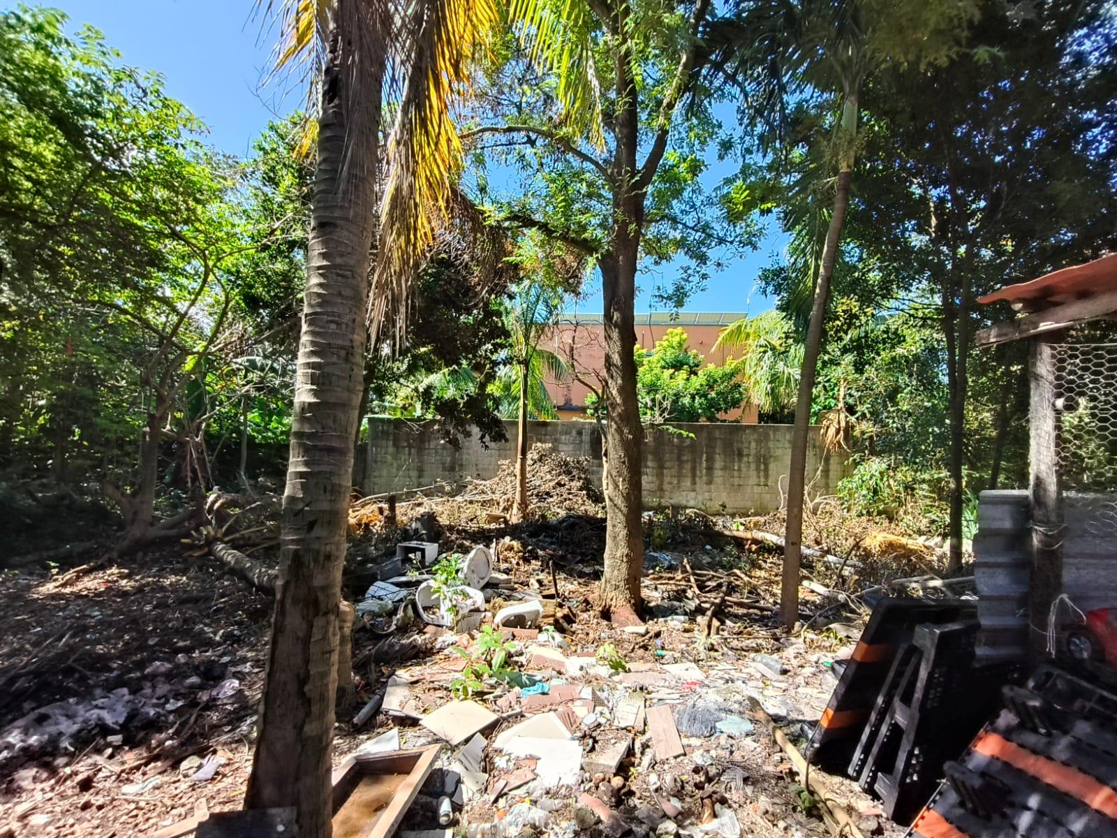 Terreno y cuarteria en Cozumel!