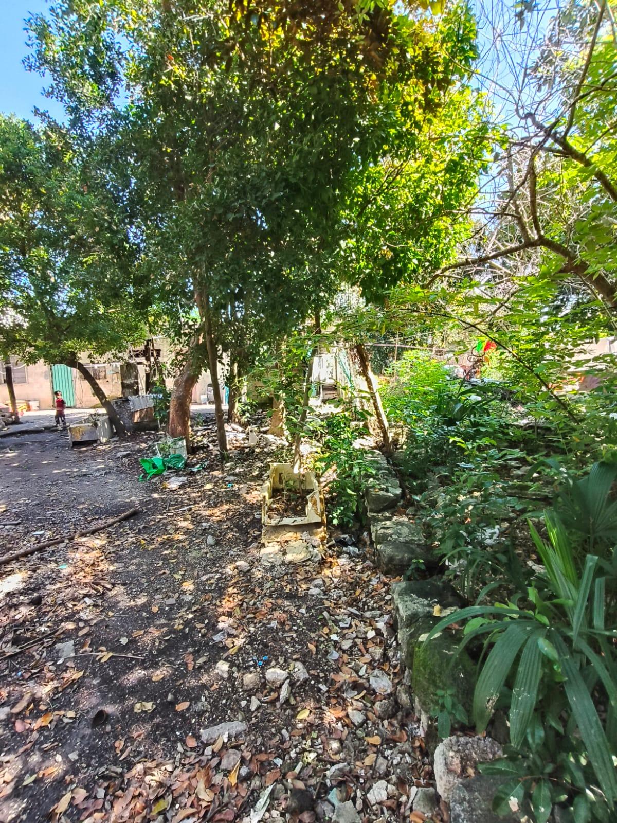 Terreno y cuarteria en Cozumel!