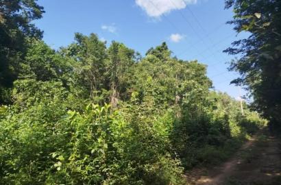 Terreno de 2000 mts2 en Puerto Morelos