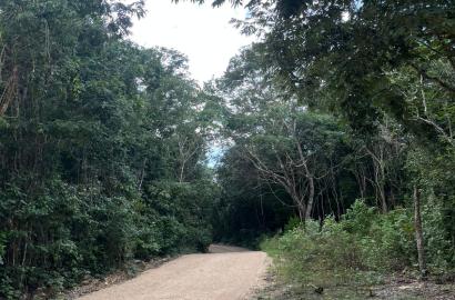 Hectáreas en Xpu-Ha, Playa del Carmen