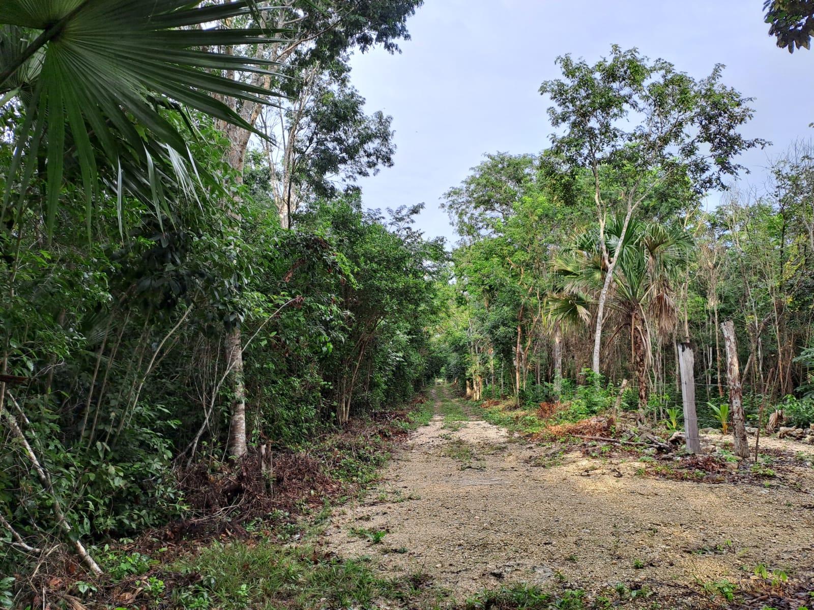 REMATO terreno de 2000 mts2 en Puerto Morelos