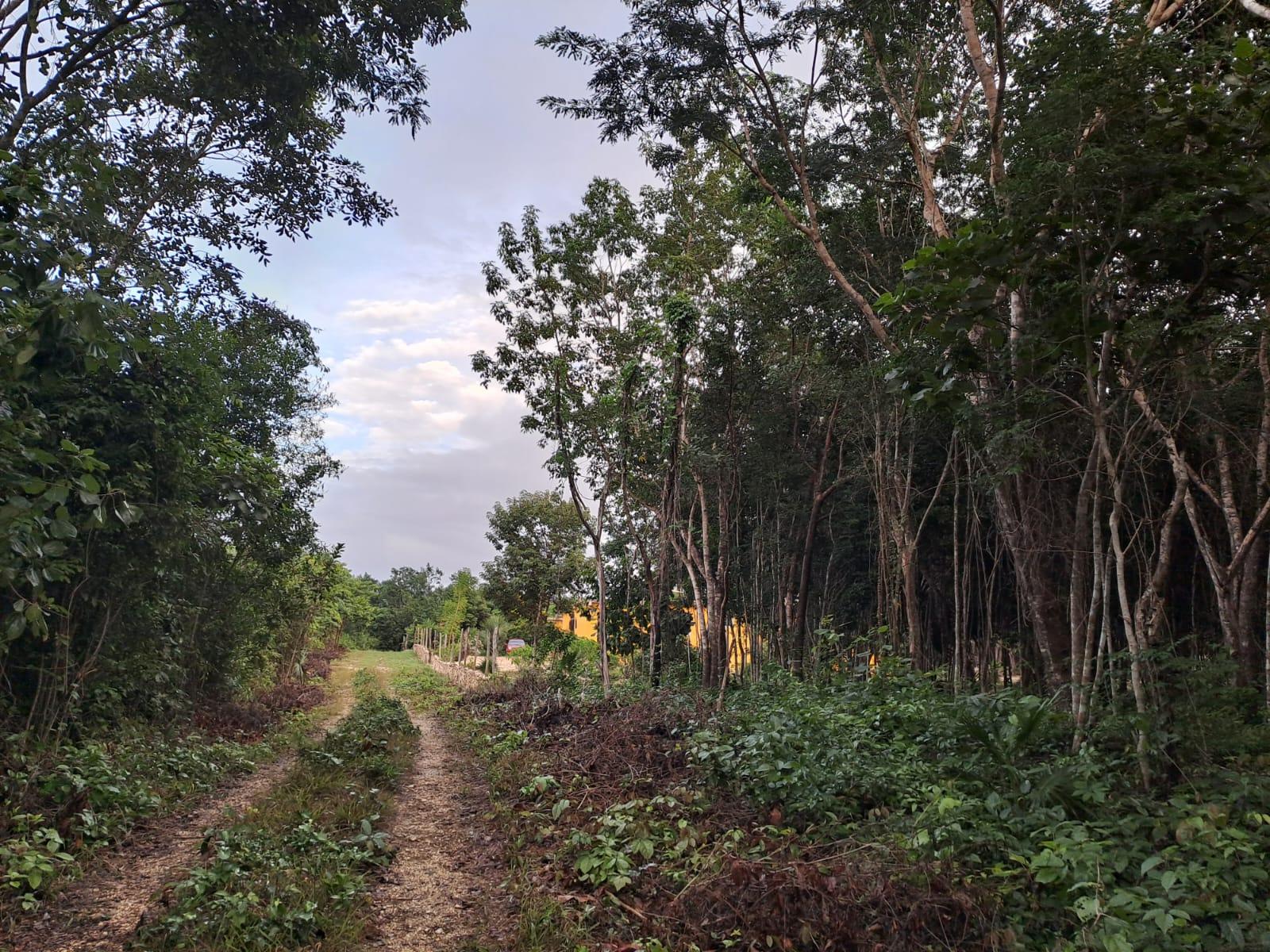 REMATO terreno de 2000 mts2 en Puerto Morelos