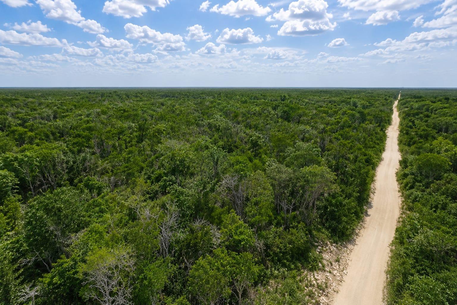 Lotes de 9400 mts2 para desarrolladores