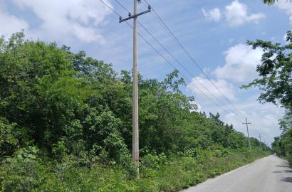 REMATO 12.5 HÉCTAREAS KM 13 HACIA FRANCISCO MAY CANCÚN