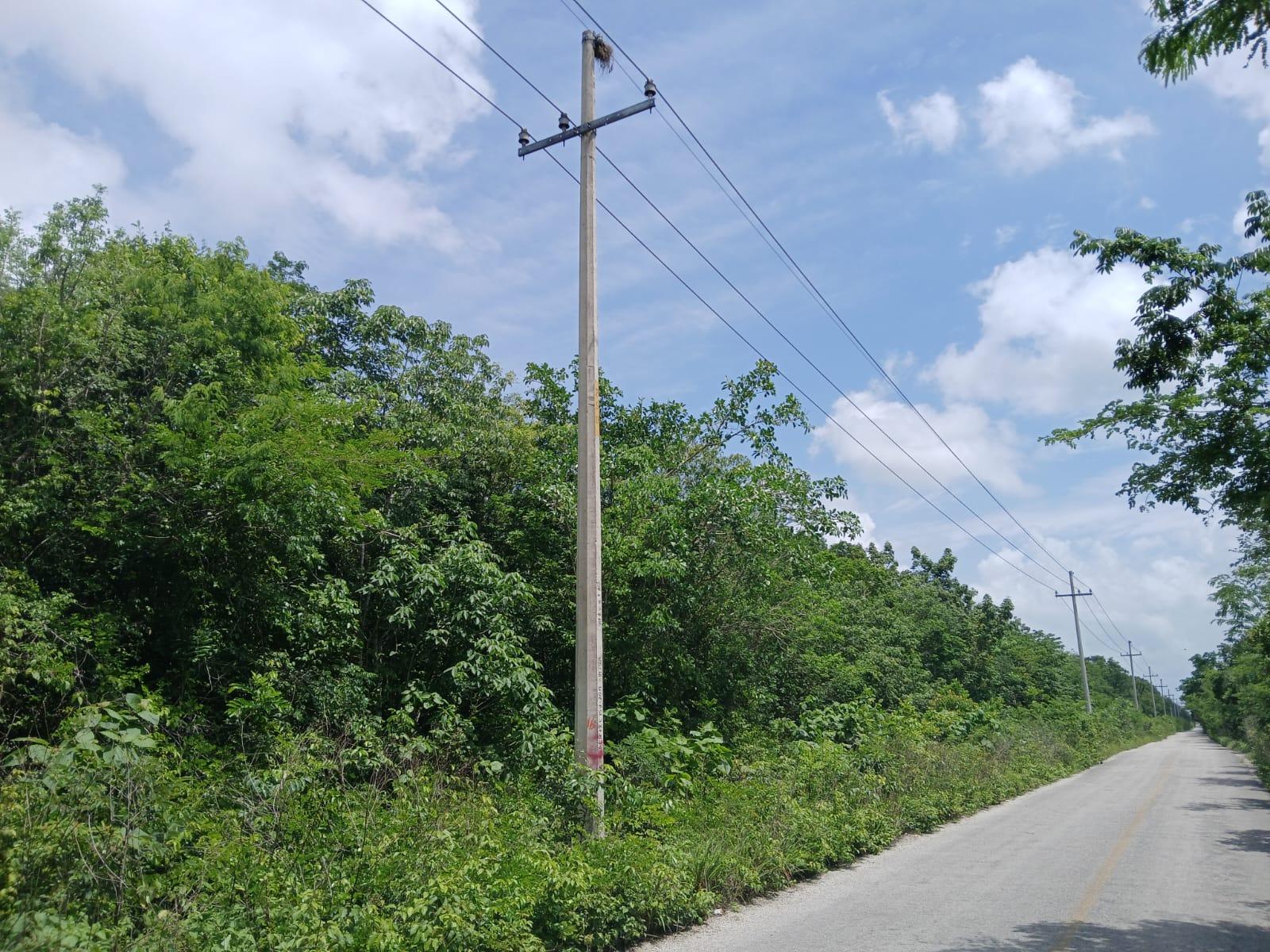 REMATO 12.5 HÉCTAREAS KM 13 HACIA FRANCISCO MAY CANCÚN