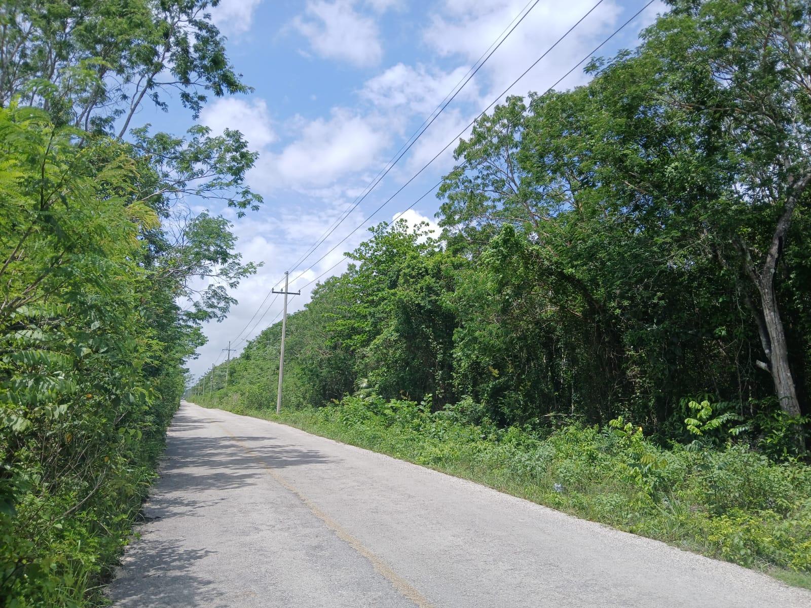 REMATO 12.5 HÉCTAREAS KM 13 HACIA FRANCISCO MAY CANCÚN