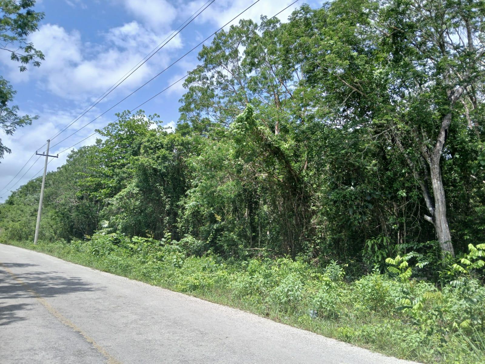 REMATO 12.5 HÉCTAREAS KM 13 HACIA FRANCISCO MAY CANCÚN
