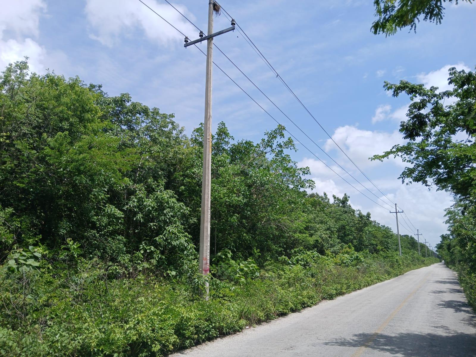 REMATO 12.5 HÉCTAREAS KM 13 HACIA FRANCISCO MAY CANCÚN