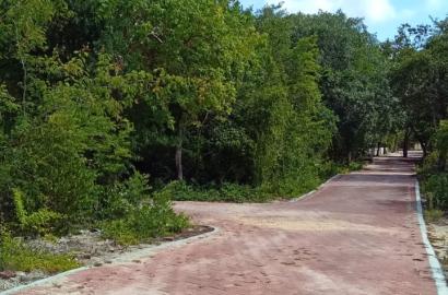 Lotes Residenciales en Chemuyil